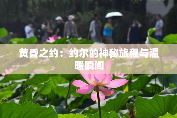 黄昏之约：约尔的神秘旅程与温暖瞬间