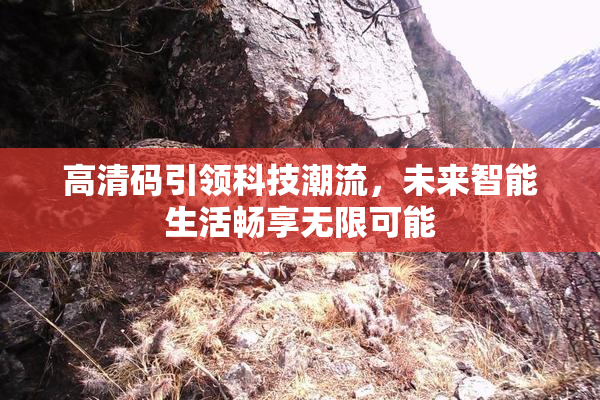 高清码引领科技潮流，未来智能生活畅享无限可能