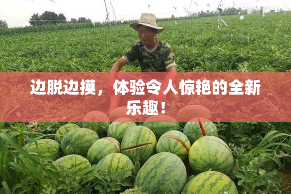 边脱边摸，体验令人惊艳的全新乐趣！