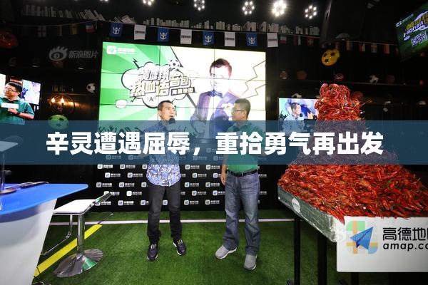 辛灵遭遇屈辱，重拾勇气再出发