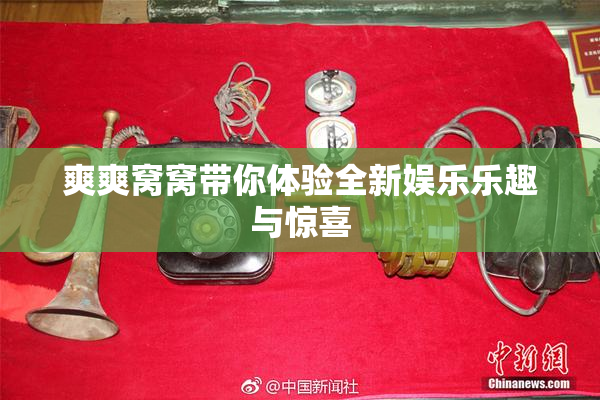 爽爽窝窝带你体验全新娱乐乐趣与惊喜