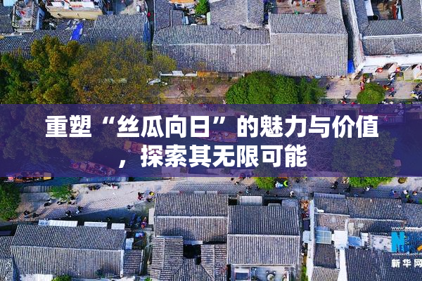 重塑“丝瓜向日”的魅力与价值，探索其无限可能