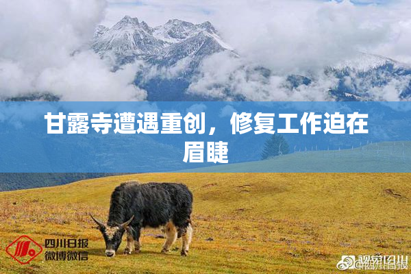 甘露寺遭遇重创，修复工作迫在眉睫