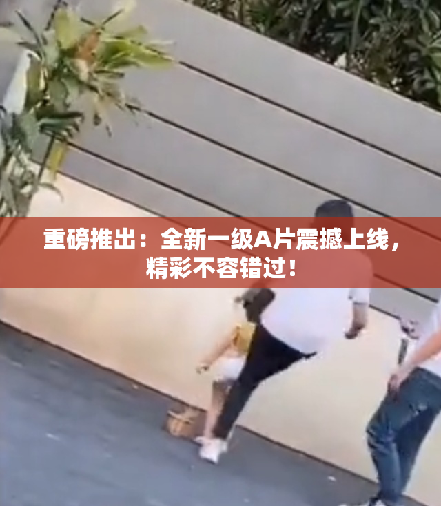 重磅推出：全新一级A片震撼上线，精彩不容错过！