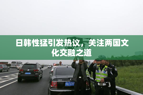 日韩性猛引发热议，关注两国文化交融之道