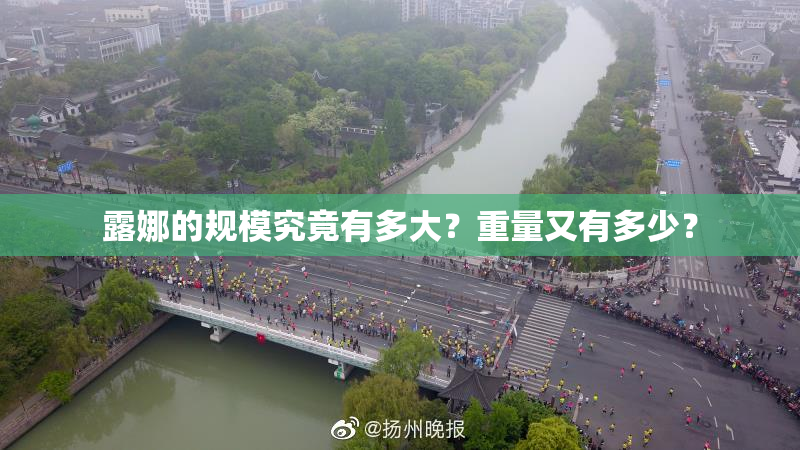 露娜的规模究竟有多大？重量又有多少？