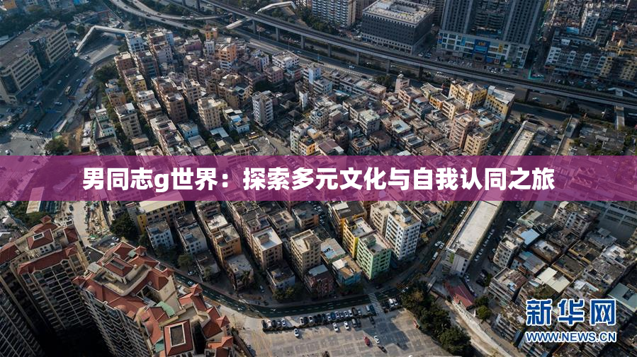 男同志g世界：探索多元文化与自我认同之旅