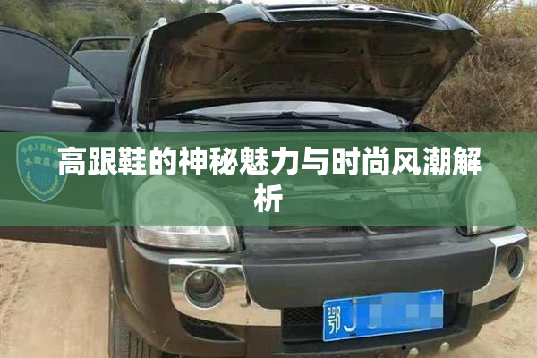 高跟鞋的神秘魅力与时尚风潮解析
