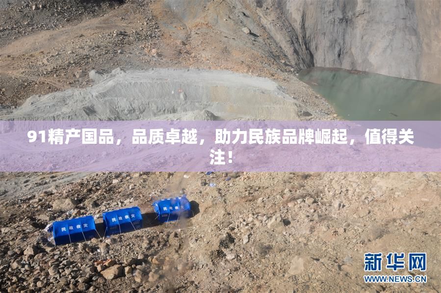 91精产国品，品质卓越，助力民族品牌崛起，值得关注！