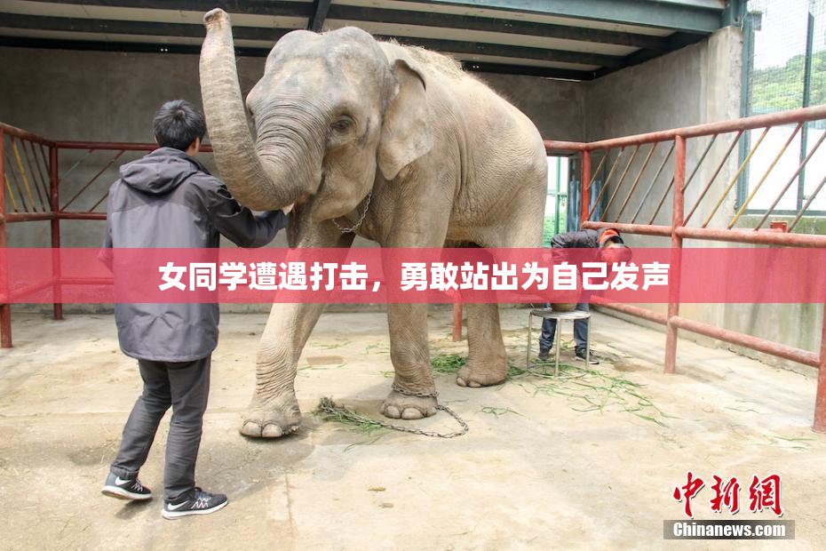 女同学遭遇打击，勇敢站出为自己发声