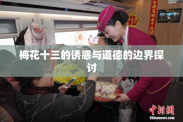 梅花十三的诱惑与道德的边界探讨