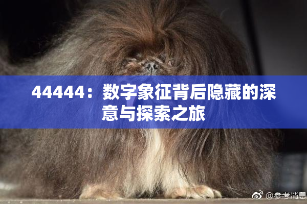 44444：数字象征背后隐藏的深意与探索之旅