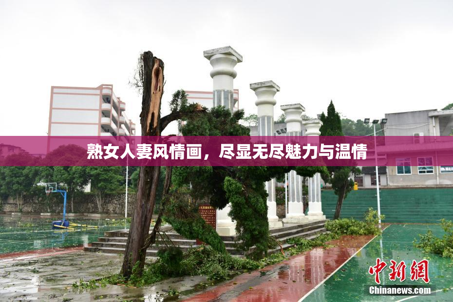 熟女人妻风情画，尽显无尽魅力与温情