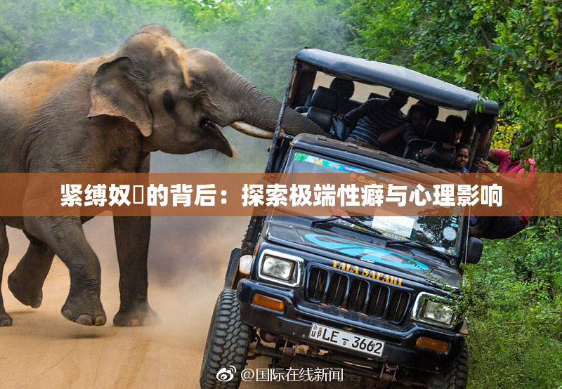 紧缚奴隷的背后：探索极端性癖与心理影响