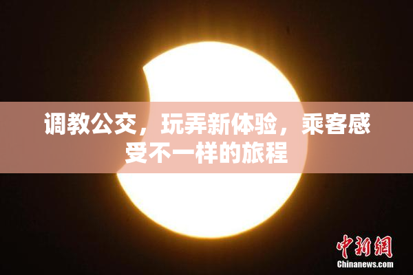 调教公交，玩弄新体验，乘客感受不一样的旅程