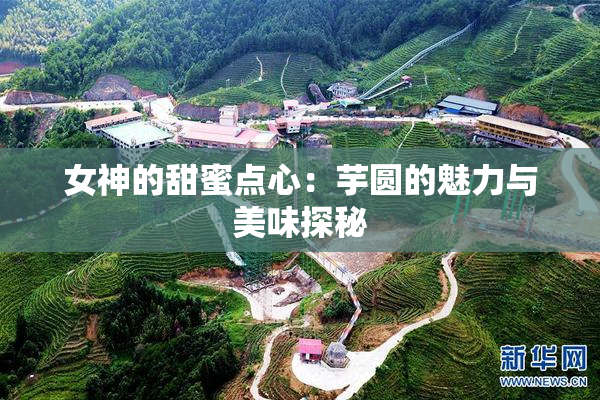 女神的甜蜜点心：芋圆的魅力与美味探秘