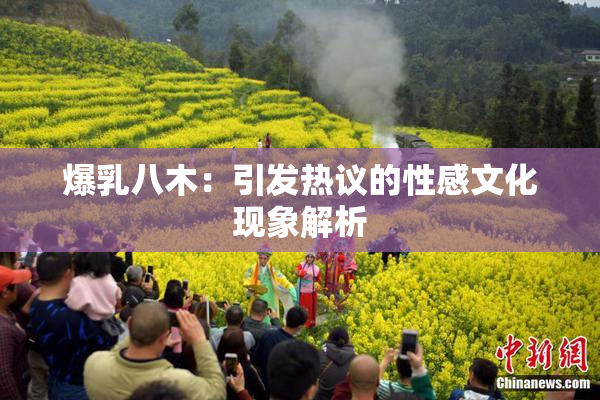 爆乳八木：引发热议的性感文化现象解析
