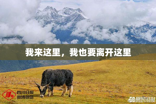 我来这里，我也要离开这里