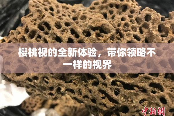 樱桃视的全新体验，带你领略不一样的视界
