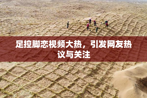 足控脚恋视频大热，引发网友热议与关注