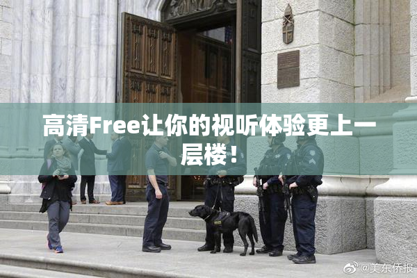 高清Free让你的视听体验更上一层楼！