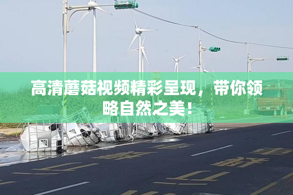 高清蘑菇视频精彩呈现，带你领略自然之美！
