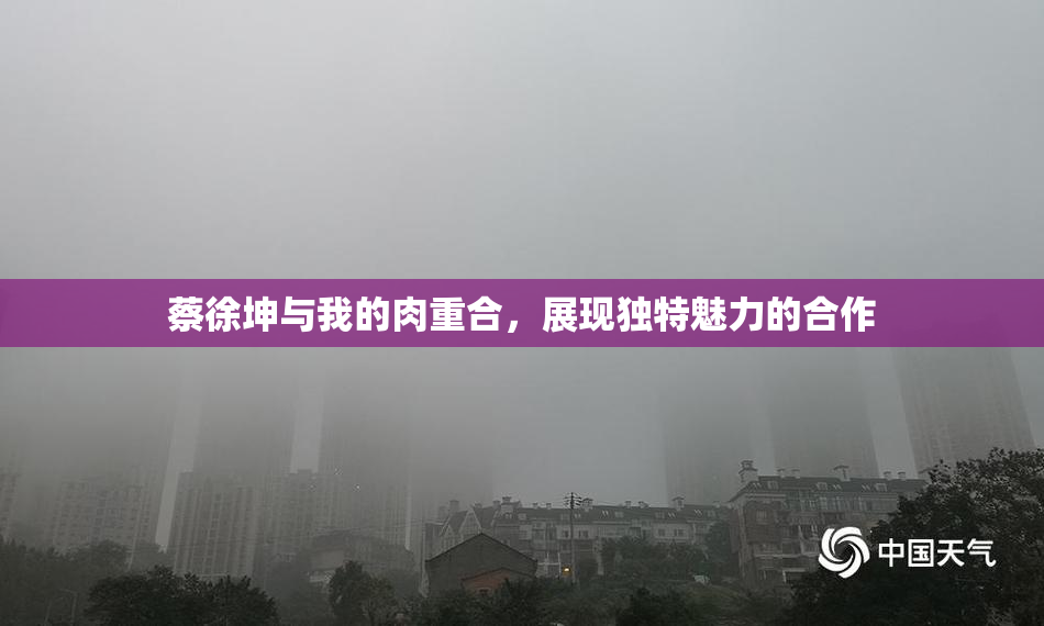 蔡徐坤与我的肉重合，展现独特魅力的合作
