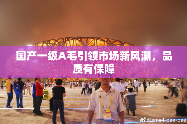 国产一级A毛引领市场新风潮，品质有保障