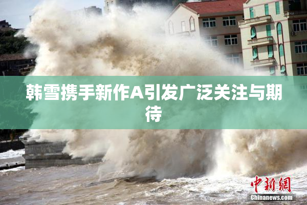 韩雪携手新作A引发广泛关注与期待