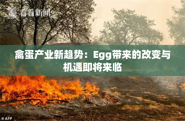 禽蛋产业新趋势：Egg带来的改变与机遇即将来临