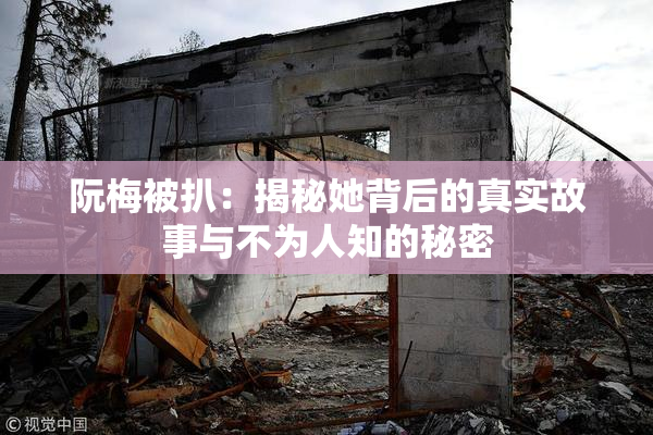 阮梅被扒：揭秘她背后的真实故事与不为人知的秘密