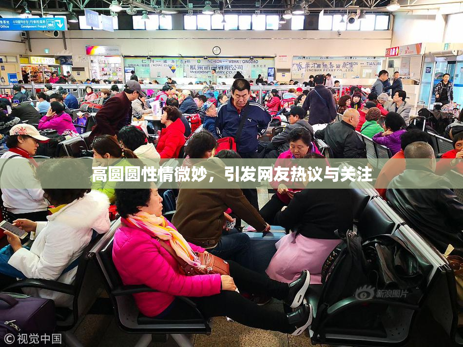 高圆圆性情微妙，引发网友热议与关注