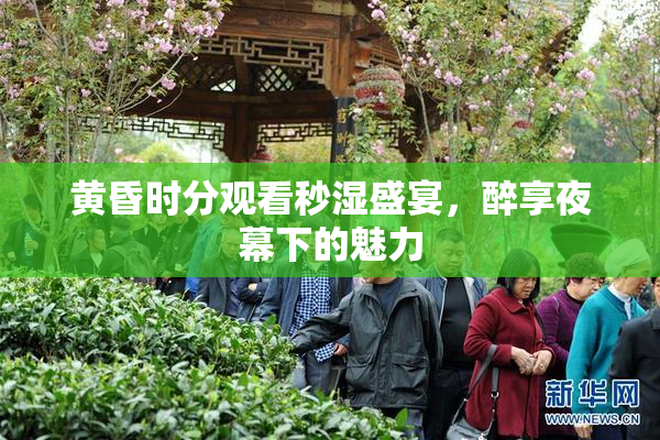 黄昏时分观看秒湿盛宴，醉享夜幕下的魅力
