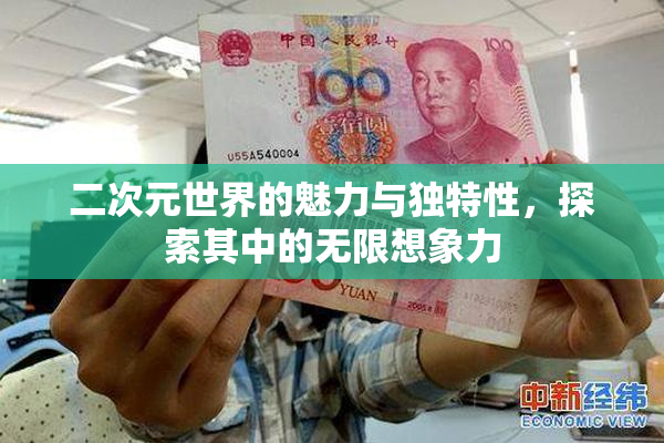 二次元世界的魅力与独特性，探索其中的无限想象力