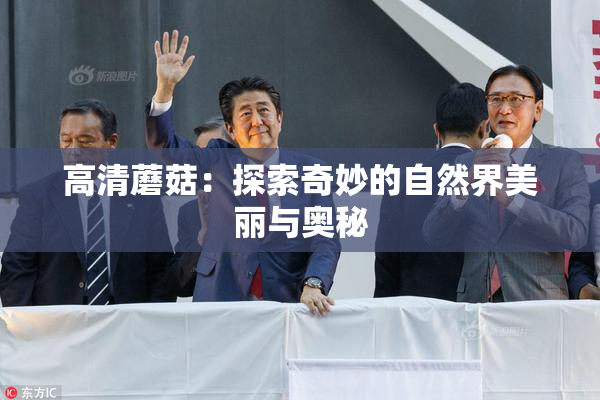 高清蘑菇：探索奇妙的自然界美丽与奥秘