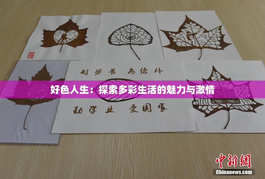 好色人生：探索多彩生活的魅力与激情