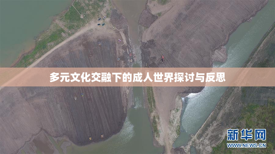 多元文化交融下的成人世界探讨与反思