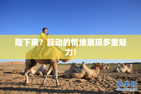 陛下爽？躁动的情绪展现多重魅力！