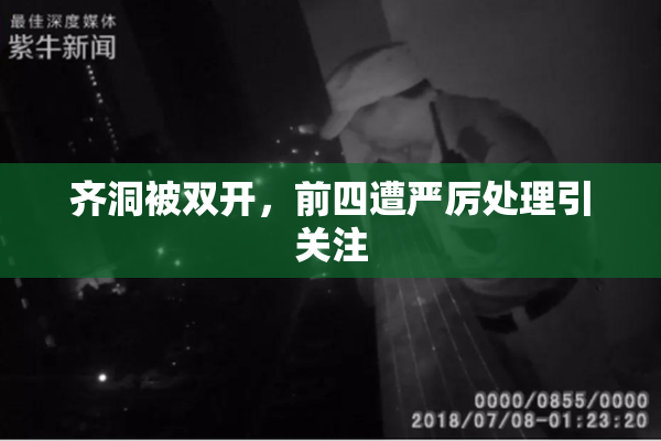 齐洞被双开，前四遭严厉处理引关注