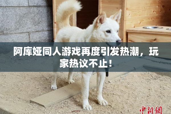 阿库娅同人游戏再度引发热潮，玩家热议不止！
