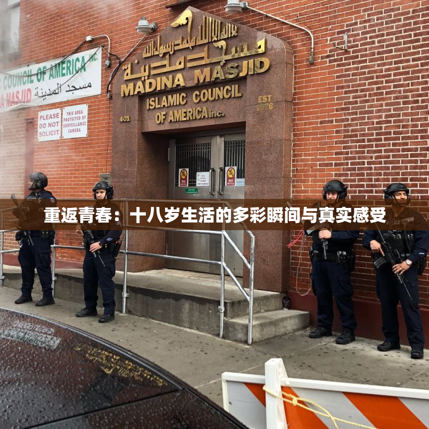 重返青春：十八岁生活的多彩瞬间与真实感受