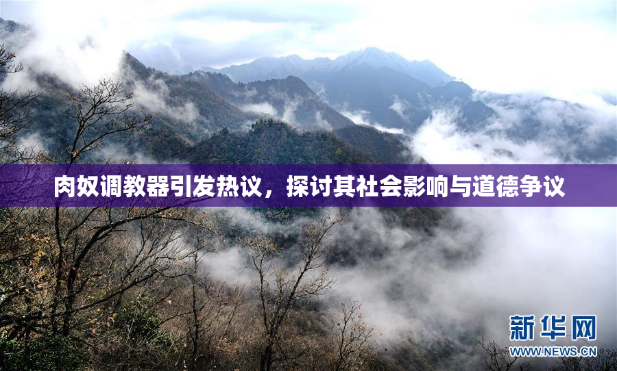 肉奴调教器引发热议，探讨其社会影响与道德争议