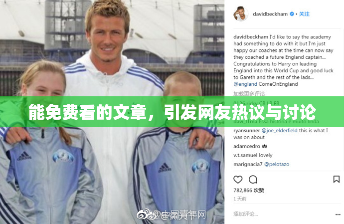 能免费看的文章，引发网友热议与讨论