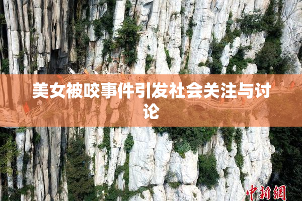 美女被咬事件引发社会关注与讨论