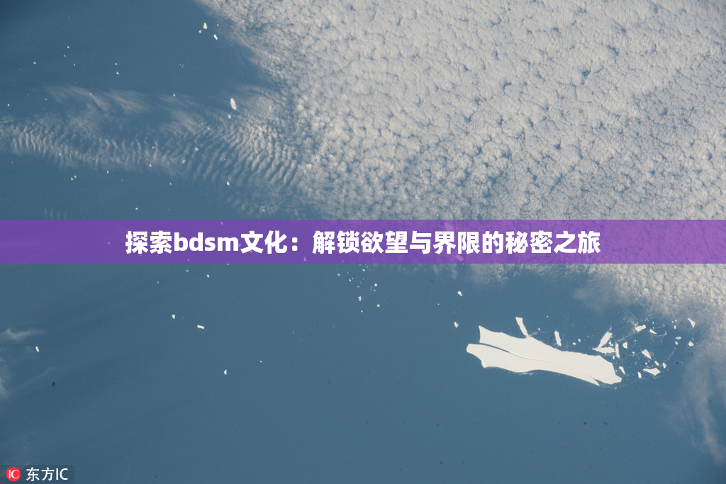 探索bdsm文化：解锁欲望与界限的秘密之旅
