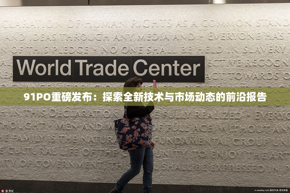91PO重磅发布：探索全新技术与市场动态的前沿报告