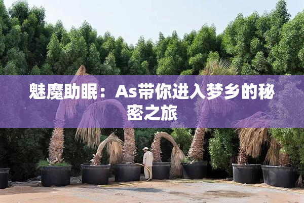 魅魔助眠：As带你进入梦乡的秘密之旅