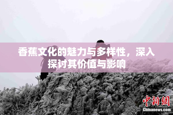 香蕉文化的魅力与多样性，深入探讨其价值与影响