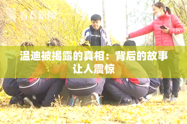 温迪被揭露的真相：背后的故事让人震惊