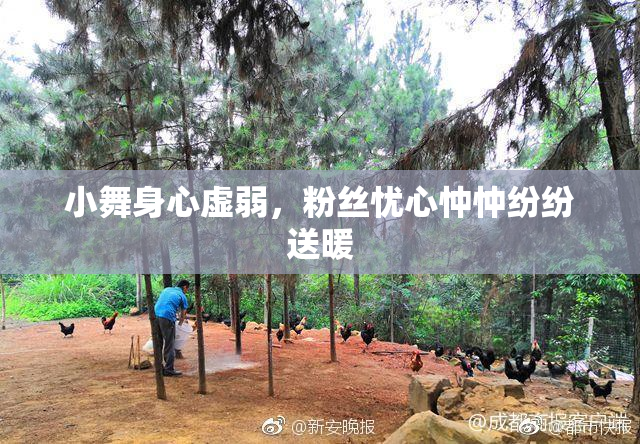 小舞身心虚弱，粉丝忧心忡忡纷纷送暖